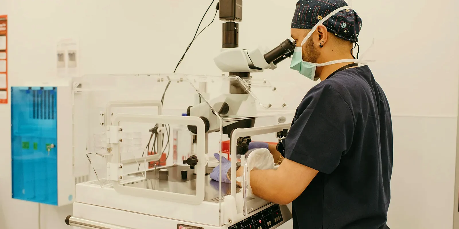 IVF 实验室环境